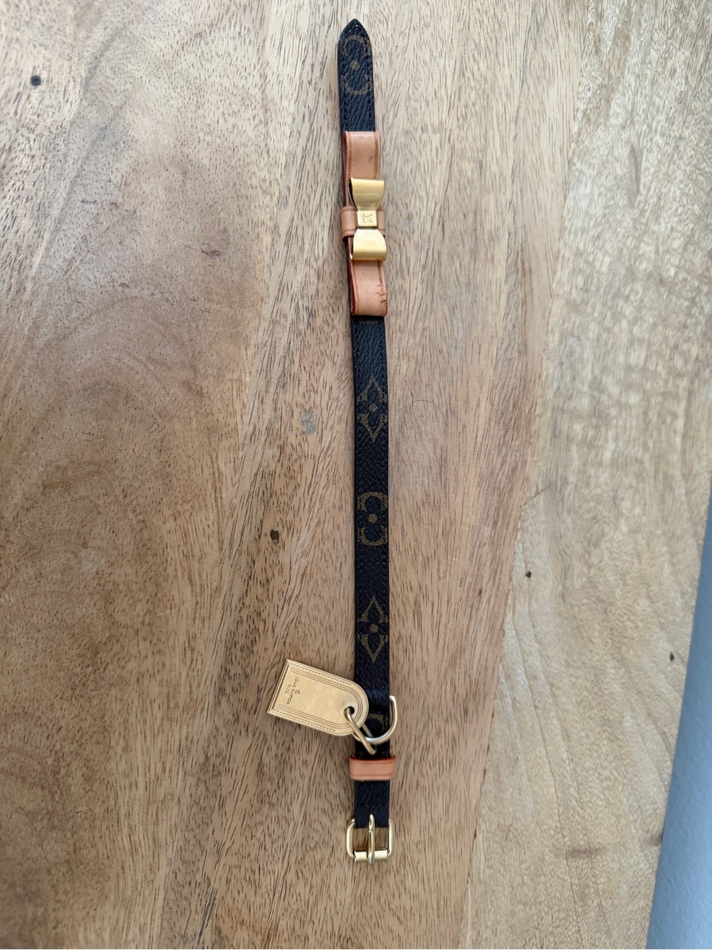 LV Xs/S Baxter Dog Collar (discontinued)